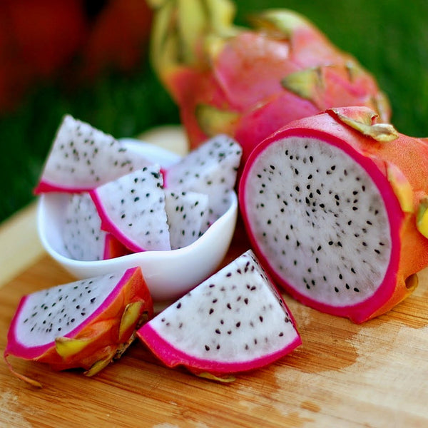 Hylocereus triangularis  Dragon Fruit